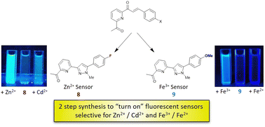 Graphical abstract: Novel pyrazoline and pyrazole “turn on” fluorescent sensors selective for Zn2+/Cd2+ at λem 480 nm and Fe3+/Fe2+ at λem 465 nm in MeCN