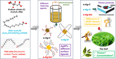 Graphical abstract: Surface ligand modified silver nanoparticles-based SERS sensing platform for ultrasensitive detection of the pesticide thiram in green tea leaves: roles of coating agents in sensing performance