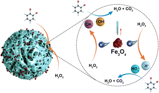 Graphical abstract: Preparation of Fe3O4@CSAC catalyst and its degradation performance and heat release mechanisms in sewage degradation