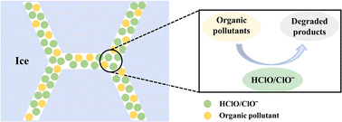 Graphical abstract: Freezing-enhanced chlorination of organic pollutants for water treatment