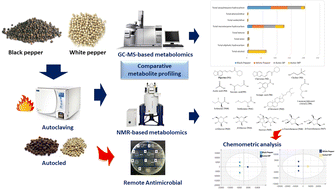Graphical abstract: Assessment of metabolome diversity in black and white pepper in response to autoclaving using MS- and NMR-based metabolomics and in relation to its remote and direct antimicrobial effects against food-borne pathogens