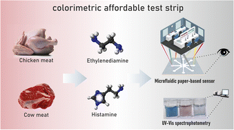 Graphical abstract: Optical dِِِِiscrimination of histamine and ethylenediamine in meat samples using a colorimetric affordable test strip (CATS): introducing a novel lab-on paper sensing strategy for low-cost ensuring food safety by rapid and accurate monitoring of biogenic amines