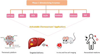 Graphical abstract: Real-time fluorescent monitoring of phase I xenobiotic-metabolizing enzymes