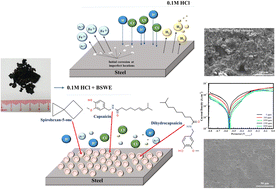 Graphical abstract: Enhancing corrosion resistance of mild steel in hydrochloric acid with Chiquita banana sap extract