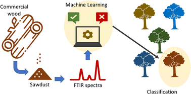 Graphical abstract: Making wood inspection easier: FTIR spectroscopy and machine learning for Brazilian native commercial wood species identification