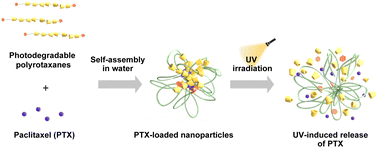 Graphical abstract: Supramolecular nanoarchitectonics of propionylated polyrotaxanes with bulky nitrobenzyl stoppers for light-triggered drug release