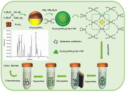 Graphical abstract: Effective extraction and determination of 24 quinolones in water and egg samples using a novel magnetic covalent organic framework combined with UPLC-MS/MS