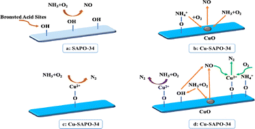 Graphical abstract: The discrepancy of NH3 oxidation mechanism between SAPO-34 and Cu/SAPO-34