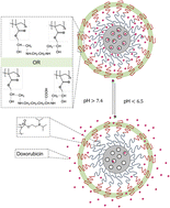 Graphical abstract: Advanced hybrid silica nanoparticles with pH-responsive diblock copolymer brushes: optimized design for controlled doxorubicin loading and release in cancer therapy