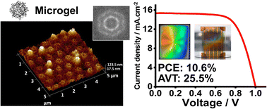 Graphical abstract: Structurally colored semitransparent perovskite solar cells using one-step deposition of self-ordering microgel particles