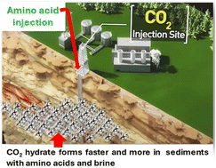 Graphical abstract: Amino acid-assisted effect on hydrate-based CO2 storage in porous media with brine