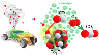 Graphical abstract: Microalgae-derived Co3O4 nanomaterials for catalytic CO oxidation