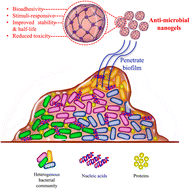 Graphical abstract: Nanogel-based composites for bacterial antibiofilm activity: advances, challenges, and prospects