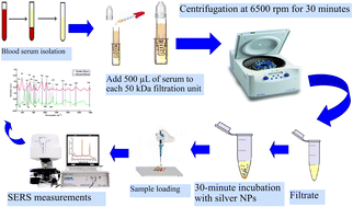 Graphical abstract: Surface-enhanced Raman spectroscopy for characterization of filtrates of blood serum samples from patients with tuberculosis obtained by 50 kDa filtration devices