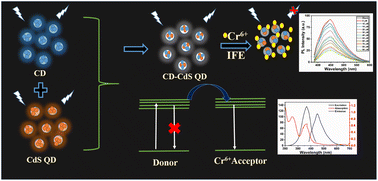Graphical abstract: Carbon dots–cadmium sulfide quantum dots nanocomposite for ‘on–off’ fluorescence sensing of chromium(vi) ions
