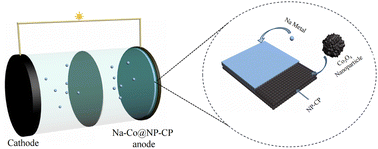 Graphical abstract: Co3O4 nanoparticle modified N, P co-doped carbon paper as sodium carrier to construct stable anodes for Na-metal batteries