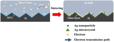 Graphical abstract: Effect of lead-free glass on the current transmission method at the Ag/Si interface in crystalline silicon solar cells