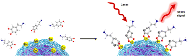 Graphical abstract: SERS detection of dopamine using metal-chelated Ag nanoshell