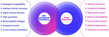 Graphical abstract: Clicking in harmony: exploring the bio-orthogonal overlap in click chemistry