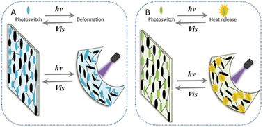 Graphical abstract: Light-driven soft microrobots based on hydrogels and LCEs: development and prospects