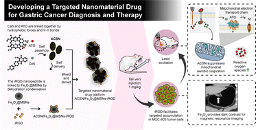 Graphical abstract: Integration of O2-economised tumour-targeted photosensitive magnetic nanomaterials in the diagnosis and therapy of gastric cancer