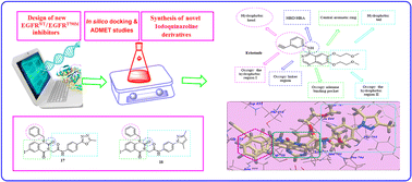 Graphical abstract: Anticancer evaluations of iodoquinazoline substituted with allyl and/or benzyl as dual inhibitors of EGFRWT and EGFRT790M: design, synthesis, ADMET and molecular docking