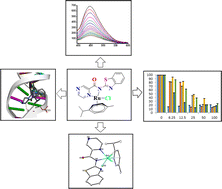 Graphical abstract: Heterocyclic (pyrazine)carboxamide Ru(ii) complexes: structural, experimental and theoretical studies of interactions with biomolecules and cytotoxicity