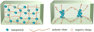 Graphical abstract: Phase behavior of colloidal nanoparticles and their enhancement effect on the rheological properties of polymer solutions and gels