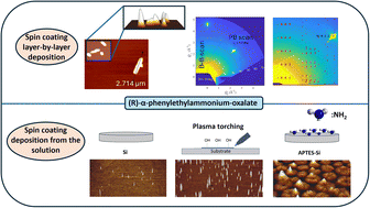 Graphical abstract: Structural and morphological investigation of (R)-α-phenylethylammonium-oxalate in bulk vs. nanowires on a modified substrate surface