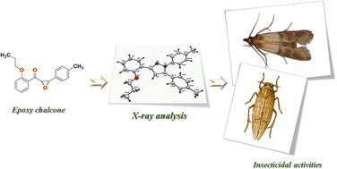 Graphical abstract: Novel pyrazole and imidazolone compounds: synthesis, X-ray crystal structure with theoretical investigation of new pyrazole and imidazolone compounds anticipated insecticide’s activities against targeting Plodia interpunctella and nilaparvata lugens