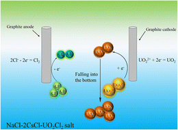 Graphical abstract: Study on the electrodeposition of uranium in chloride molten salt