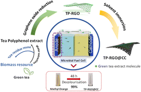 Graphical abstract: Natural tea polyphenol functionalized graphene anode for simultaneous power production and degradation of methyl orange dye in microbial fuel cells