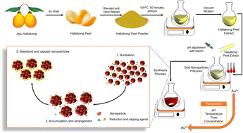 Graphical abstract: The impact of pH and temperature on the green gold nanoparticles preparation using Jeju Hallabong peel extract for biomedical applications