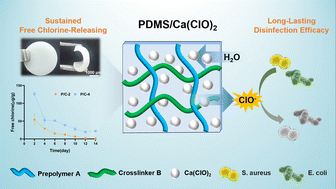 Graphical abstract: Sustained free chlorine-releasing polydimethylsiloxane/Ca(ClO)2 materials with long-lasting disinfection efficacy