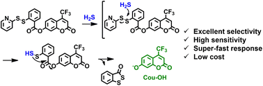 Graphical abstract: Construction of a coumarin-based fluorescent probe for accurately visualizing hydrogen sulfide in live cells and zebrafish