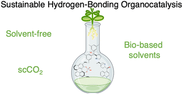 Graphical abstract: Investigating the efficacy of green solvents and solvent-free conditions in hydrogen-bonding mediated organocatalyzed model reactions