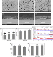 Graphical abstract: Preparation of HA-MAO coatings on β-type alloys and its corrosion resistance in high glucose environments