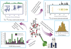 Graphical abstract: Analyzing atomic scale structural details and nuclear spin dynamics of four macrolide antibiotics: erythromycin, clarithromycin, azithromycin, and roxithromycin
