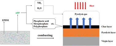 Graphical abstract: Study on flame retardancy of EPDM reinforced by ammonium polyphosphate