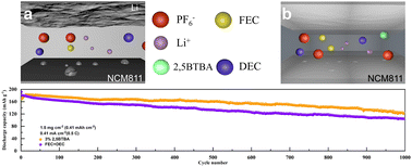 Graphical abstract: Stabilization of NCM811 cathode interface through macromolecular compound protective film formed by 2,5-bis(2,2,2-trifluoroethoxy)-benzoic acid additive in lithium metal batteries