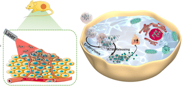 Graphical abstract: UV-assisted synthesis of ultra-small GO–Austar for efficient PTT therapeutic architectonic construction