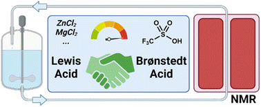 Graphical abstract: Investigation of the cooperative-effects of Lewis- and Brønstedt acids in homogeneously catalyzed OME fuel synthesis by inline-NMR monitoring