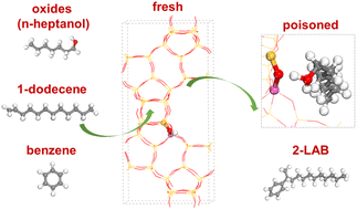 Graphical abstract: Elucidating the deactivation mechanism of beta zeolite catalyzed linear alkylbenzene production with oxygenated organic compound contaminated feedstocks