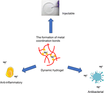 Graphical abstract: Innovative wound management: creating dynamic Alg-Mg/SF hydrogels for controlled Mg2+ release in wound healing