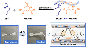 Graphical abstract: Self-healing amino acid-bearing acrylamides/n-butyl acrylate copolymers via multiple noncovalent bonds
