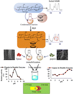 Graphical abstract: Improvement of catalysis performance of pepsin and lipase enzymes by double enzyme immobilization method