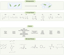 Graphical abstract: Recent advances in microbial and enzymatic engineering for the biodegradation of micro- and nanoplastics