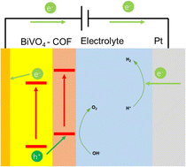 Graphical abstract: Modified photoanode by in situ growth of covalent organic frameworks on BiVO4 for oxygen evolution reaction