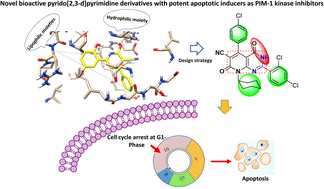 Graphical abstract: Synthesis of novel bioactive pyrido[2,3-d]pyrimidine derivatives with potent cytotoxicity through apoptosis as PIM-1 kinase inhibitors