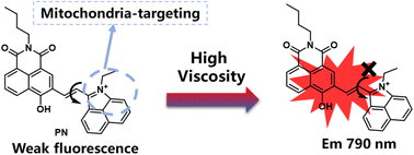 Graphical abstract: A novel fluorescence probe for simultaneous detection of mitochondrial viscosity in hepatic ischemia reperfusion injury models